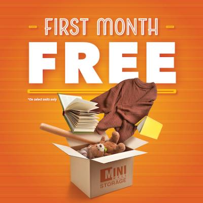 Mini Mall Storage - Maple Ridge Promotion